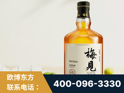 揭阳-梅见青梅酒